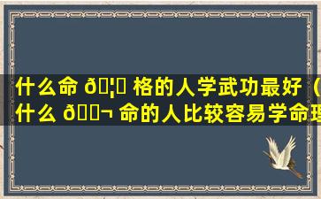 什么命 🦟 格的人学武功最好（什么 🐬 命的人比较容易学命理）